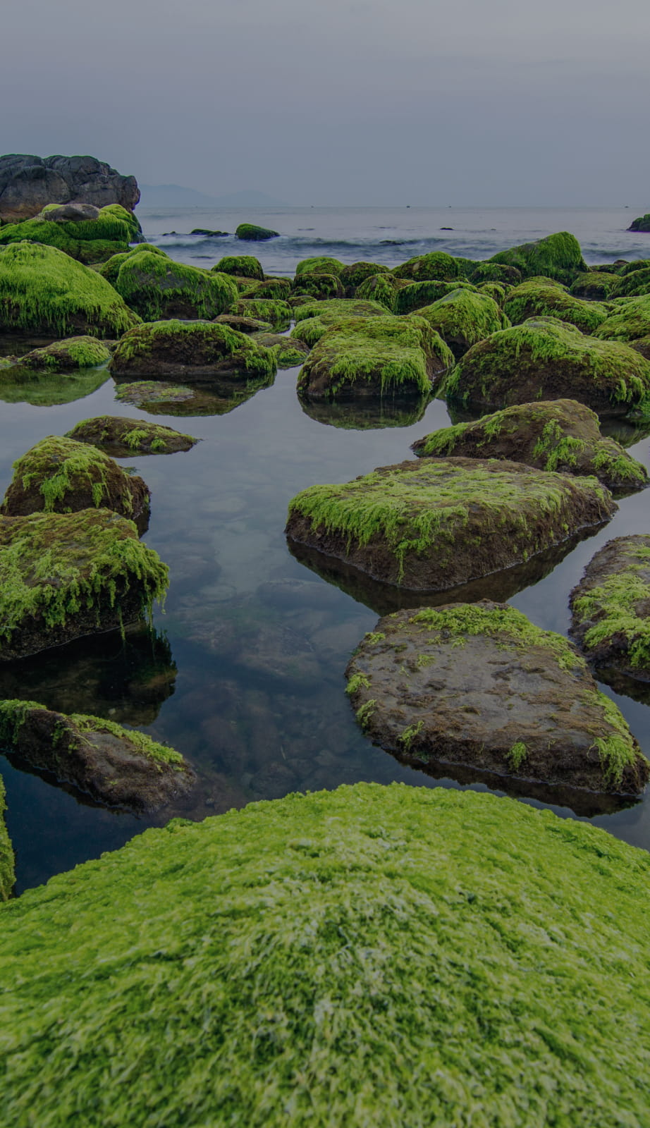 無料セミナー ENGINE