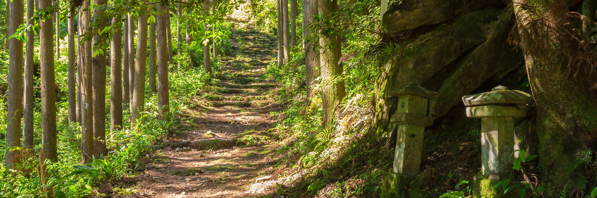 木々に囲まれた森の中に続く石段の参道