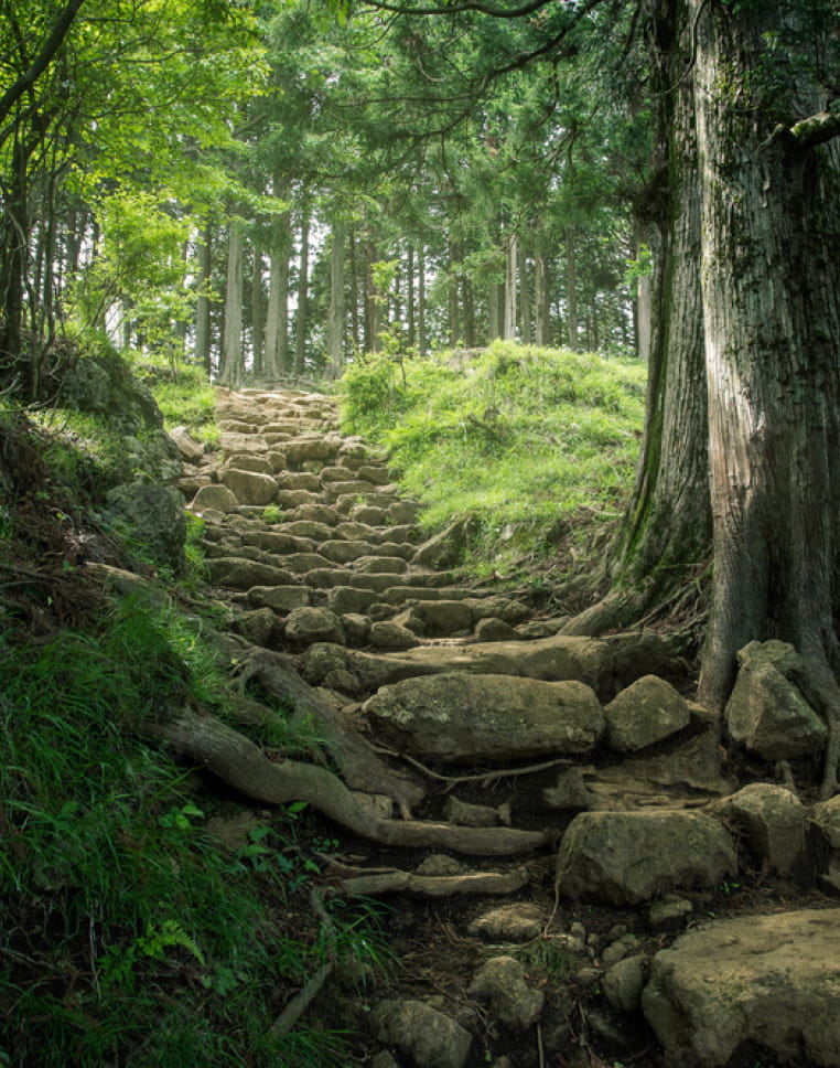 木々に囲まれた森の中に続く石段の参道