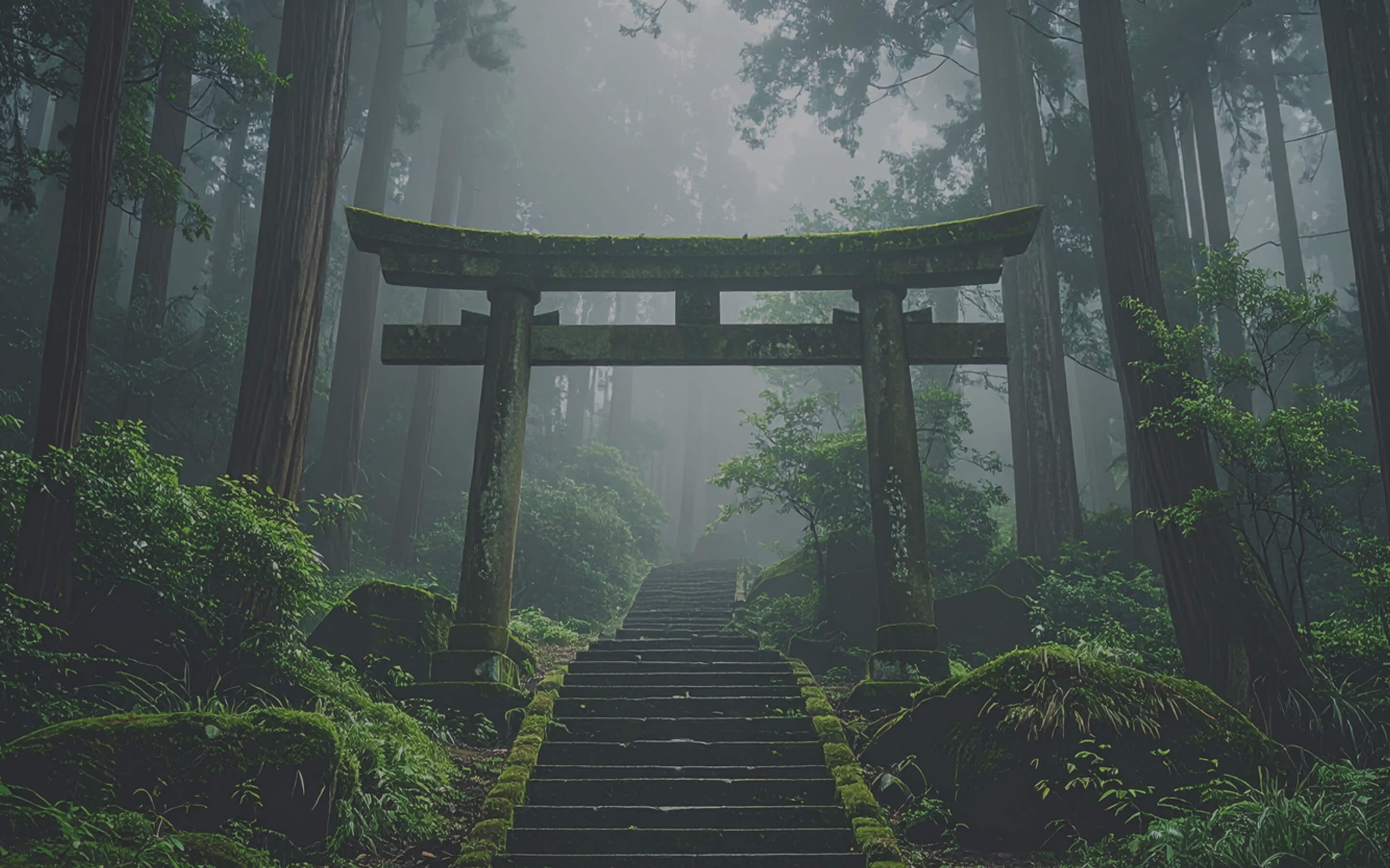 霧に包まれた森の中に立つ苔むした鳥居